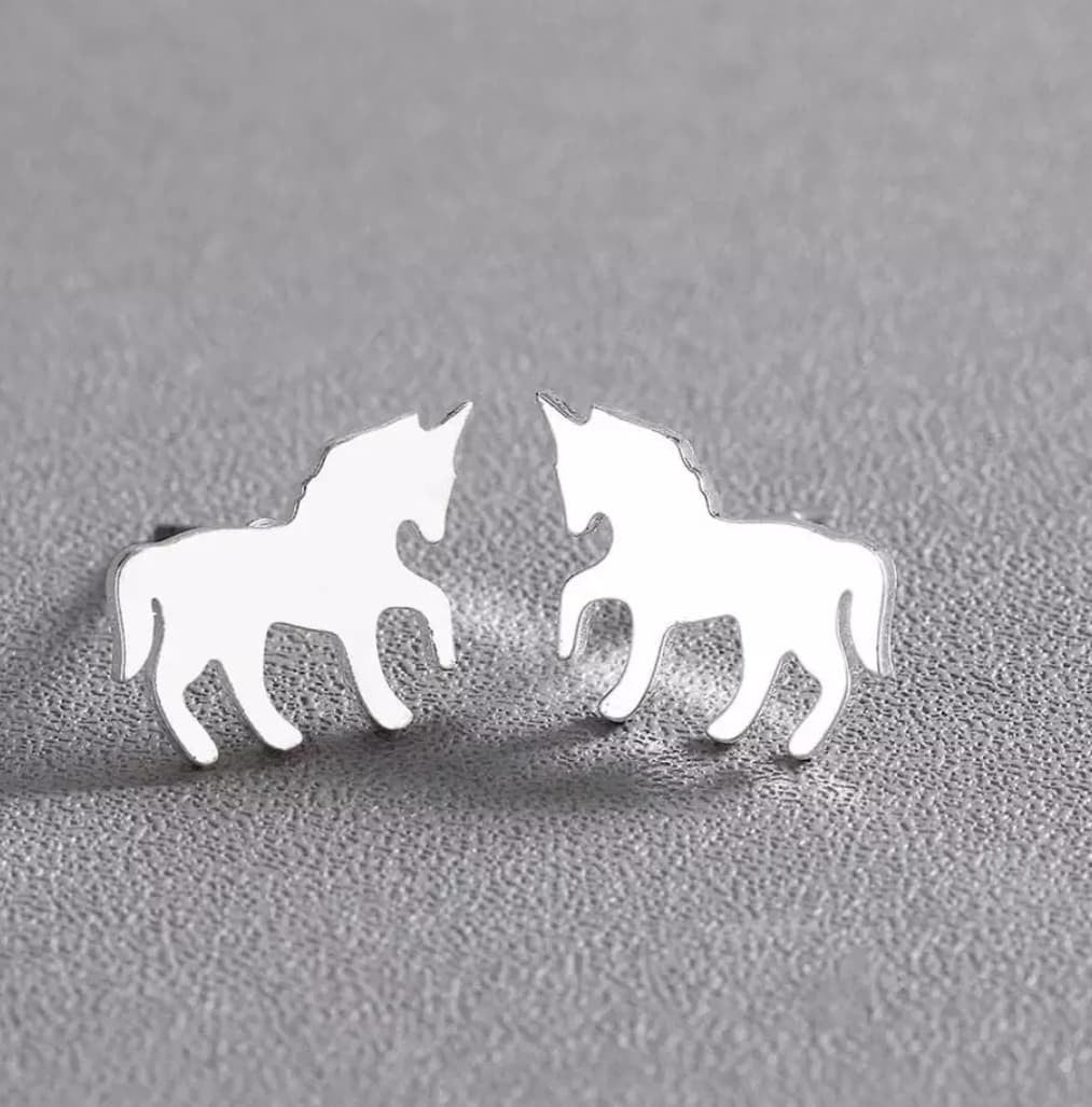Stainless Steel Studs