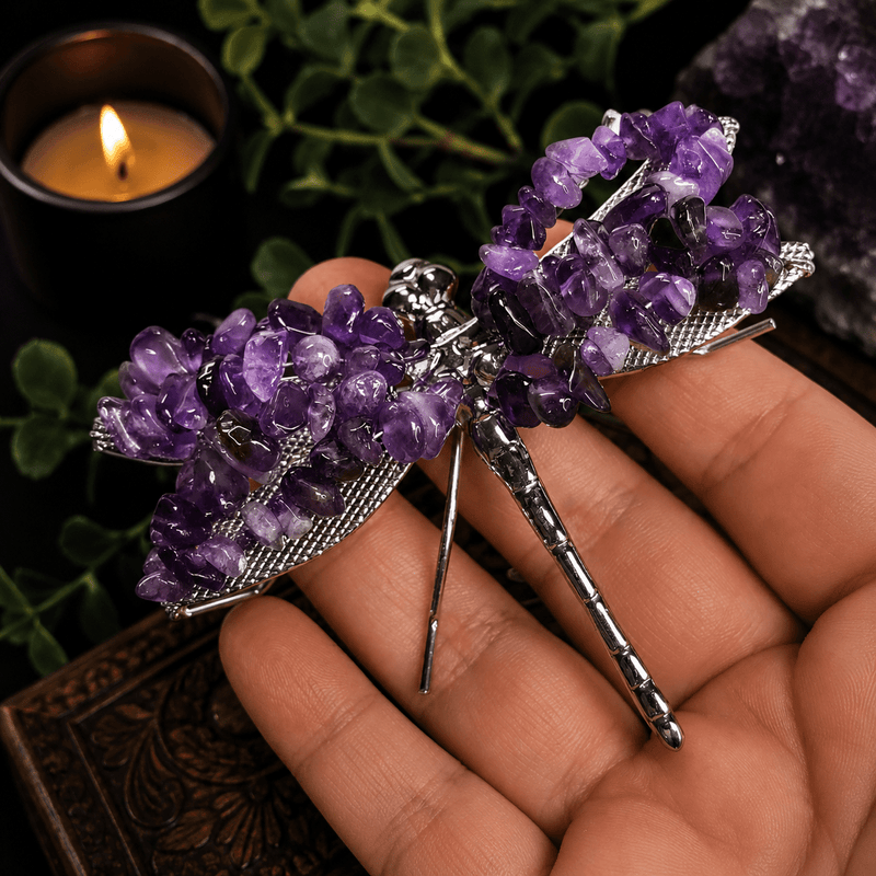 Dragonflies