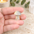 Crazy Lace Agate 2cm Gemstone Mushroom