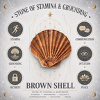 100g Brown Shell Chips