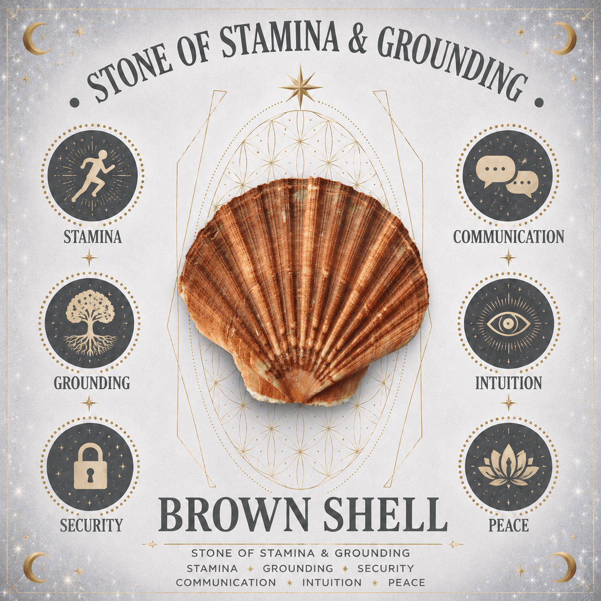 100g Brown Shell Chips