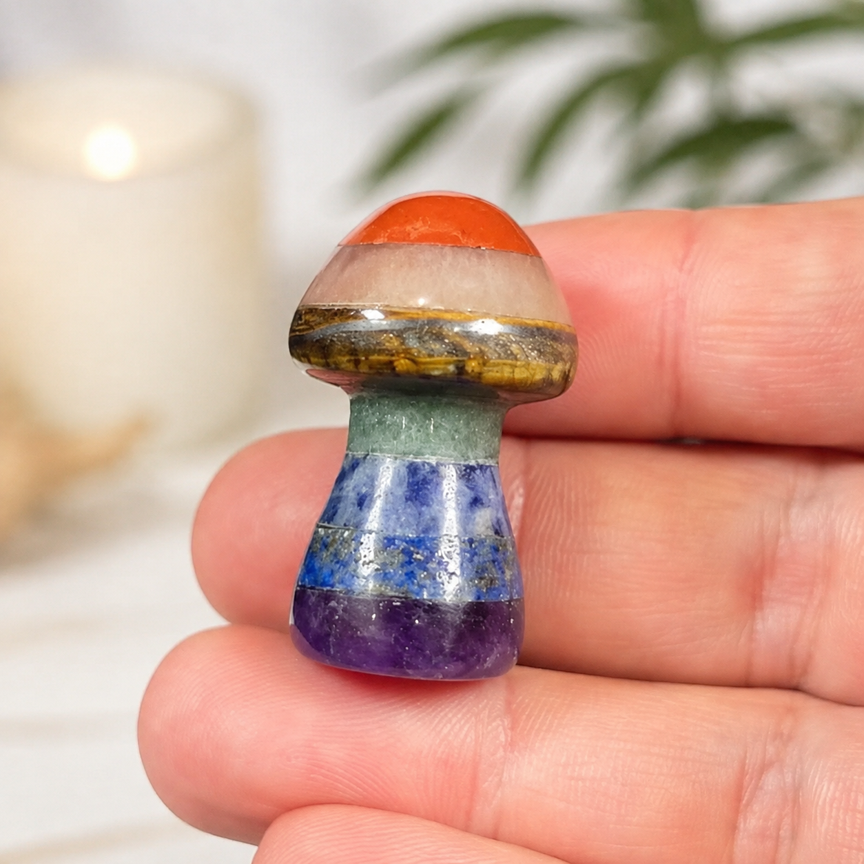 Chakra Mushroom