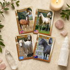 Wild & Free Horse Affirmation Cards