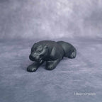 Obsidian Panther