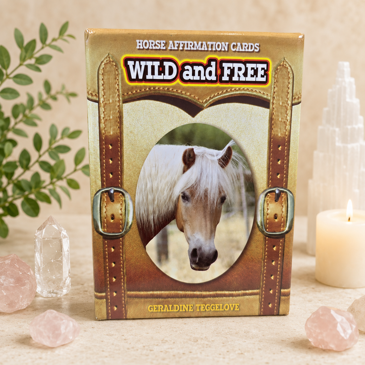 Wild & Free Horse Affirmation Cards