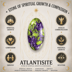 12mm Atlantisite Gemstone Bracelet