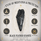100g Black Feather Kyanite