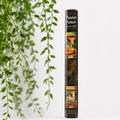 Passion Potion Kamini Incense Sticks - 20 sticks