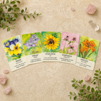 Soulflower Plant Spirit Oracle