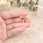 Red Sesame Jasper 2cm Gemstone Mushroom