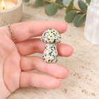Dalmatian Jasper 4cm Gemstone Mushroom