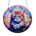 15cm Acrylic Suncatcher - Colourful Cat