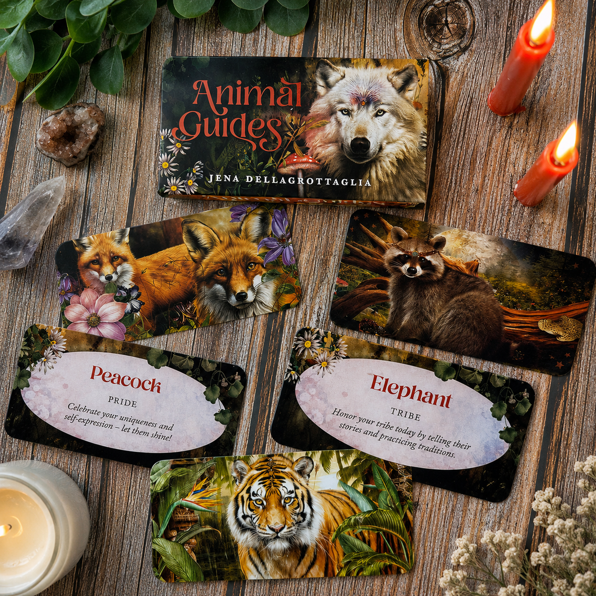 Animal Guides Affirmation Cards