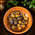 2cm Gemstone Mushroom - Tiger Eye