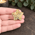 Crazy Lace Agate 3cm Gemstone Star