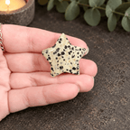 Dalmatian Jasper 3cm Gemstone Star
