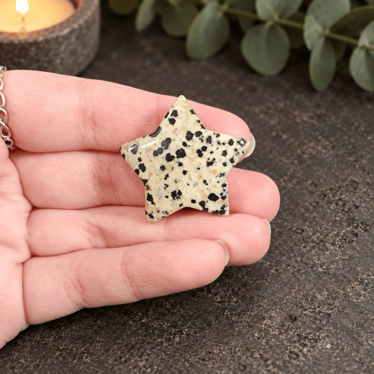 Dalmatian Jasper 3cm Gemstone Star