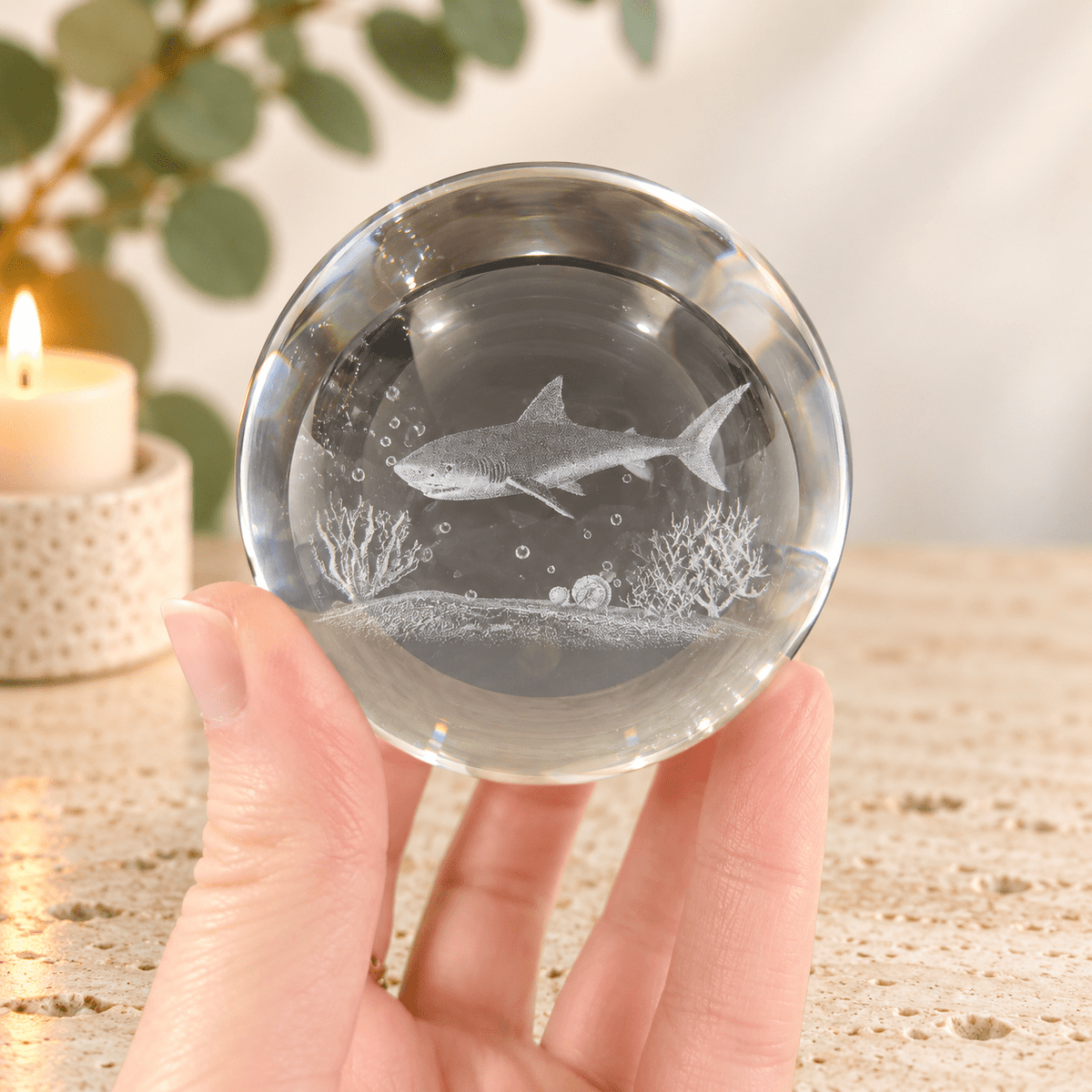 Shark 8cm Laser Cut Glass Sphere & Stand