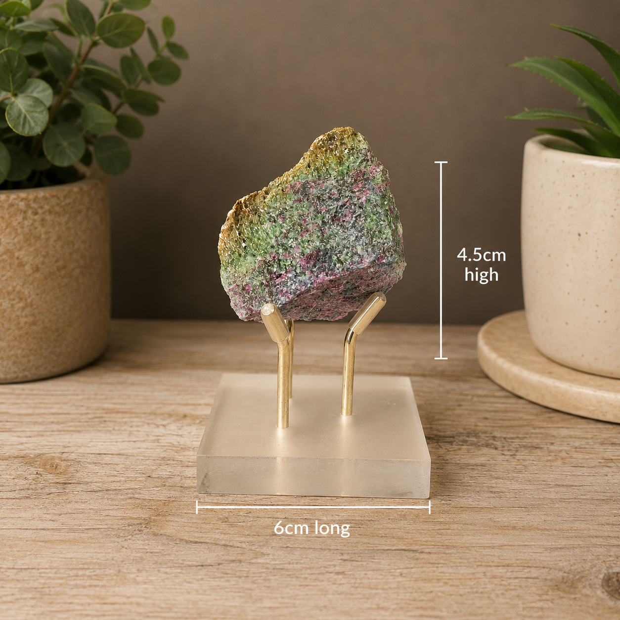 specimen not included
