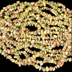 Unakite 75cm-80cm Chips Strand