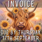 Amanda Jo // Week 30th Aug. - 5th Sept. // Due Thur. 17th Sept.
