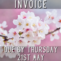 Karen Hayden // 3rd - 9th May // Due Thurs. 21st May