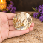 Petrified Wood