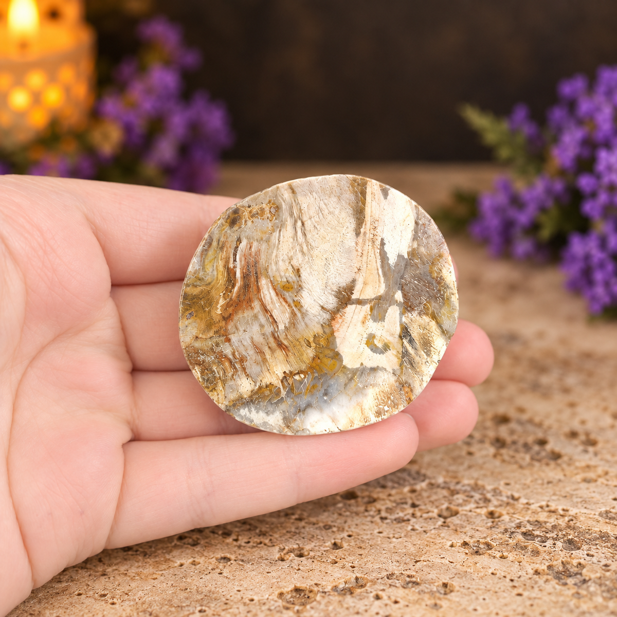 Petrified Wood