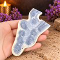 Blue Coral Slice with Stand