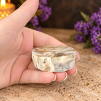Petrified Wood