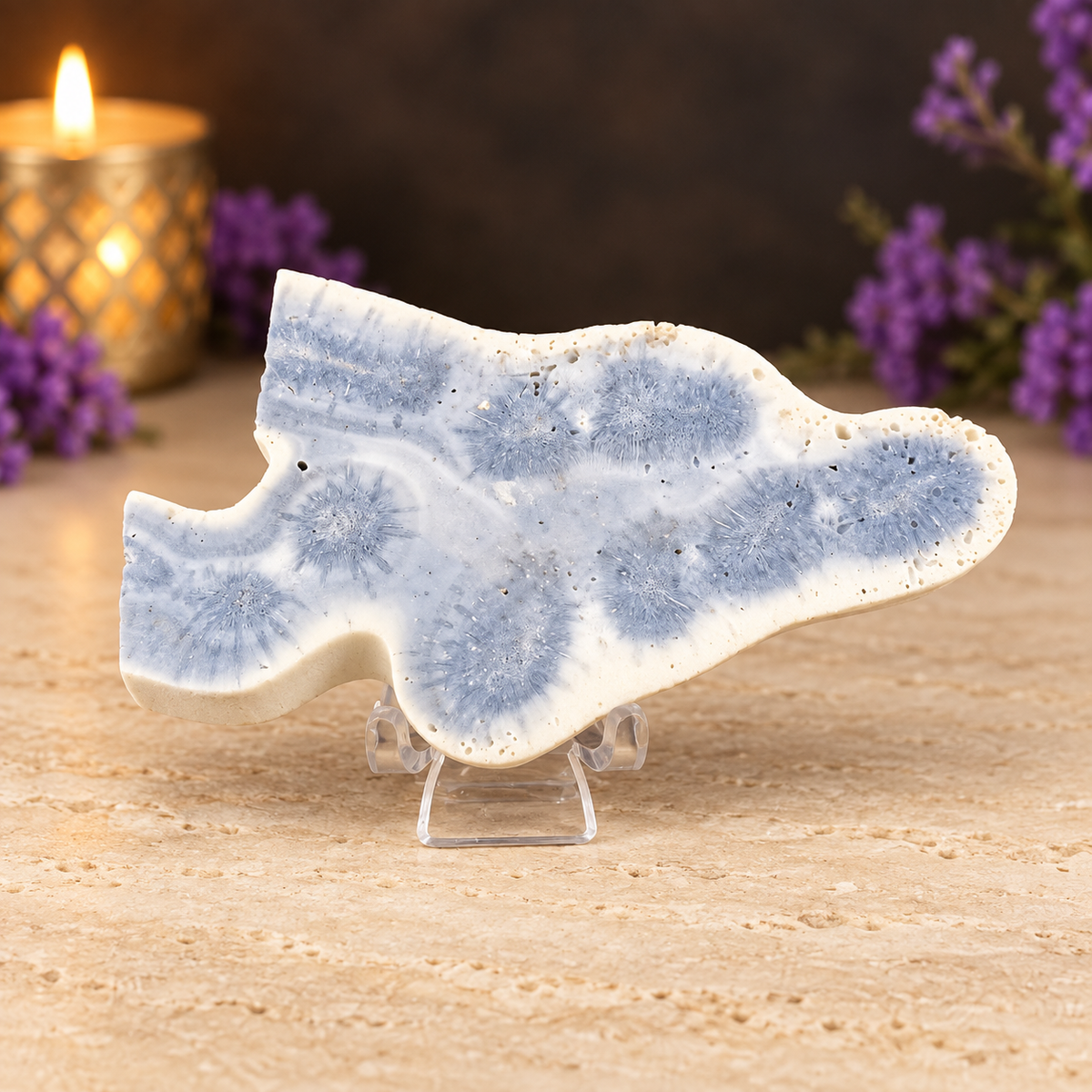 Blue Coral Slice with Stand