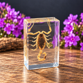 Buthus Martensii Scorpion Specimen