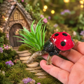 11cm Red Ladybug Garden Ornament