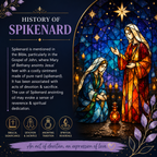 Spikenard Anointing Oil 9ml