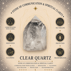 Clear Quartz, Fluorite & Mushroom LED Lamp