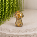 4cm Gemstone Mushroom - Crazy Lace Agate