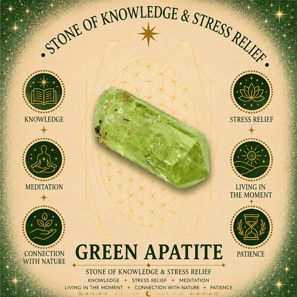 100g Green Apatite Gemstone Chips