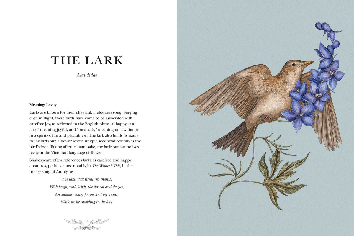 Ornithography: An Illustrated Guide To Bird Lore & Symbolism