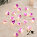 2m Amethyst LED String USB Lights