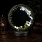 Clear Quartz, Fluorite & Mushroom LED Lamp
