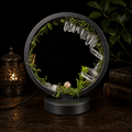 Clear Quartz, Fluorite & Mushroom LED Lamp